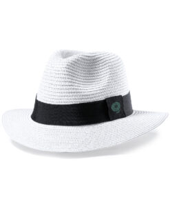 Alternative view of Hut Teilor