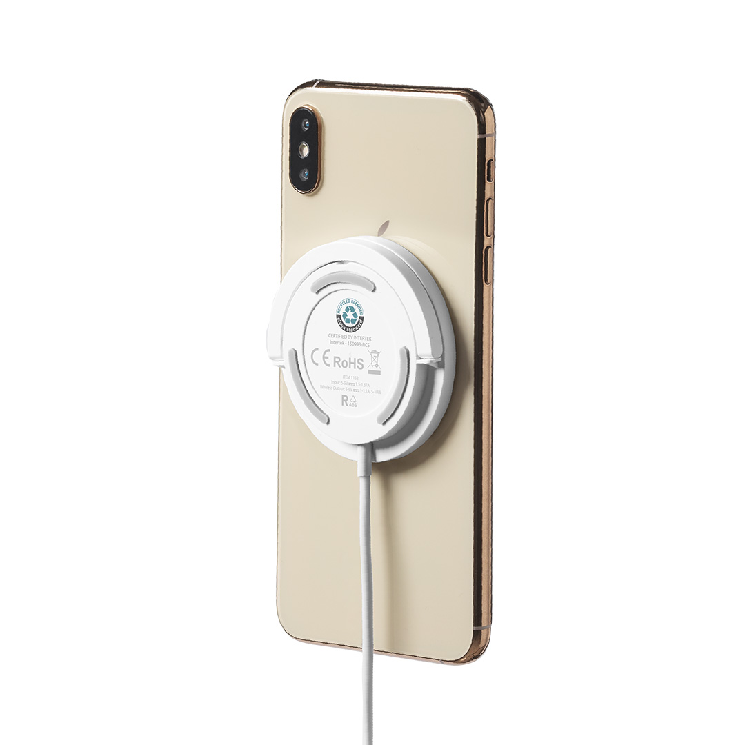 Ladegerät Dixlem RCS – Bild 3