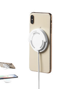 Ladegerät Dixlem RCS