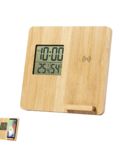 Ladegerät Wetterstation Fiory