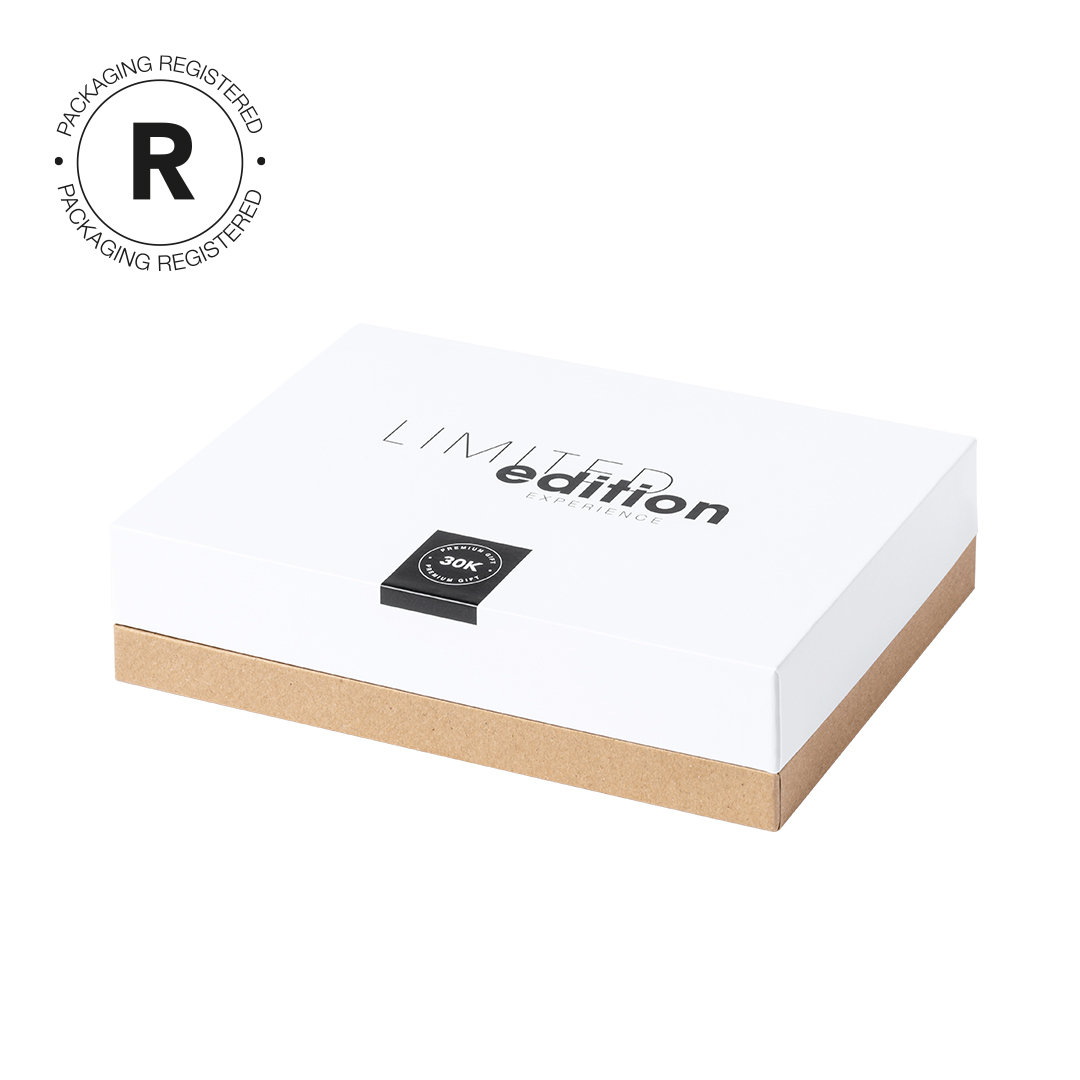 Ladegerät Buisson – Bild 2