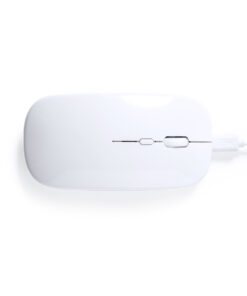 Alternative view of Maus Chestir RCS