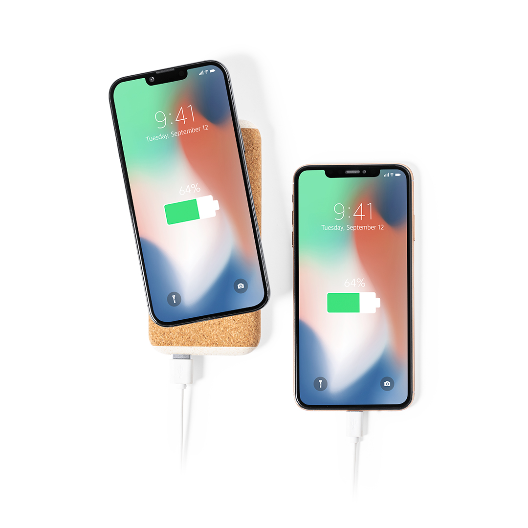 Power Bank Limerick – Bild 3