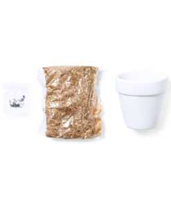 Alternative view of Blumentopf Konte