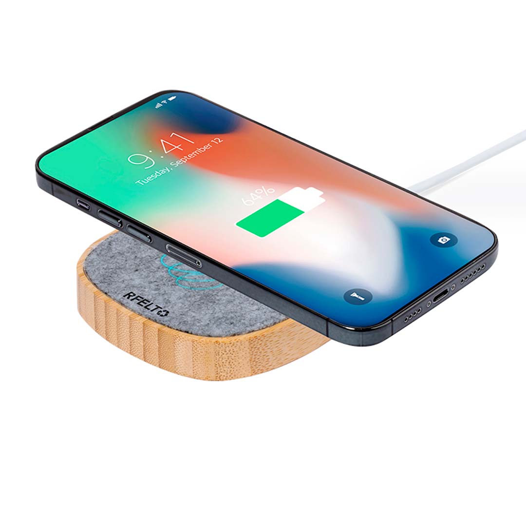 Ladegerät Emerson – Bild 3