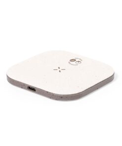 Alternative view of Ladegerät Griffin