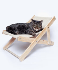 Alternative view of Haustier Stuhl Diny