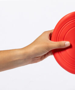 Alternative view of Frisbie Girud