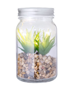 Alternative view of Dekorpflanze Kyala