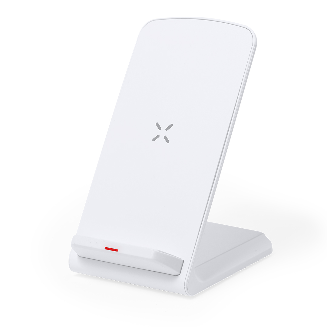 Ladegerät Tayil RCS – Bild 2