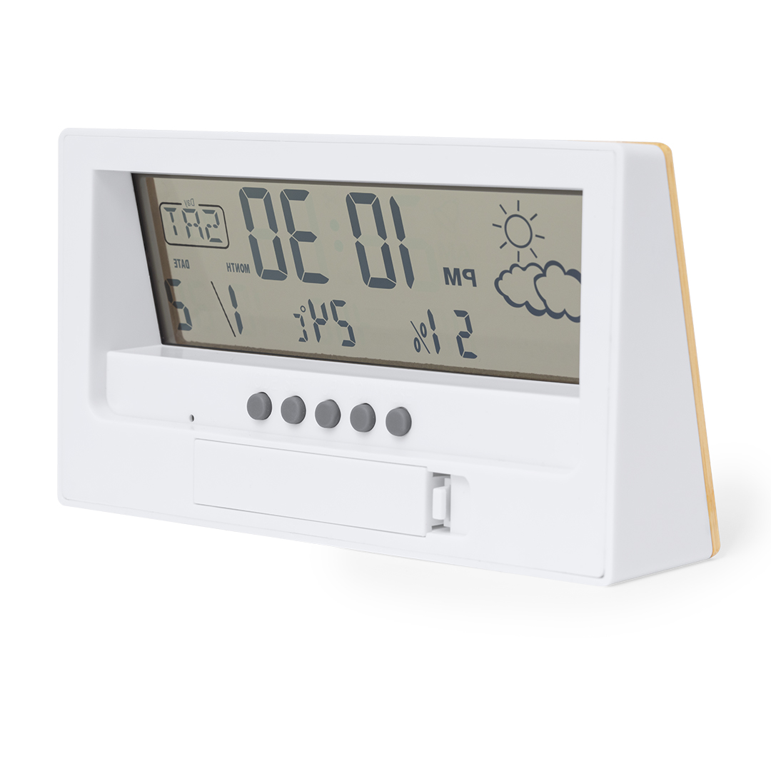 Wetterstation Roamer – Bild 3