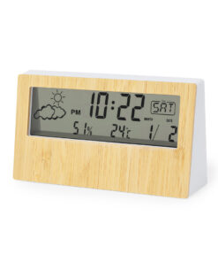 Wetterstation Roamer