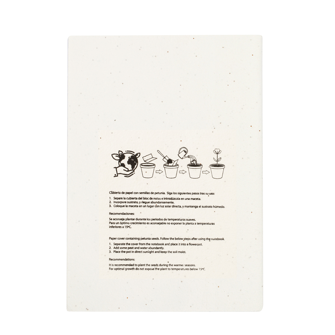 Samen Notizbuch Derna – Bild 3