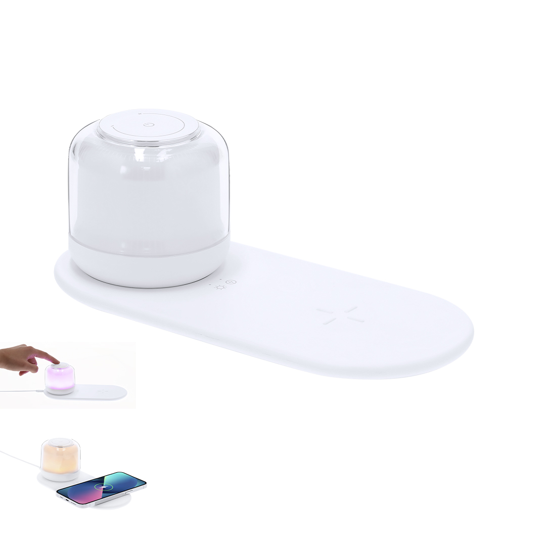 Ladegerät Lampe Reginal