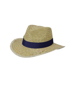 Alternative view of Hut Freuler