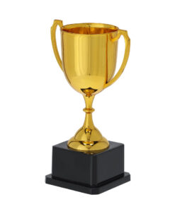 Alternative view of Pokal Nynor