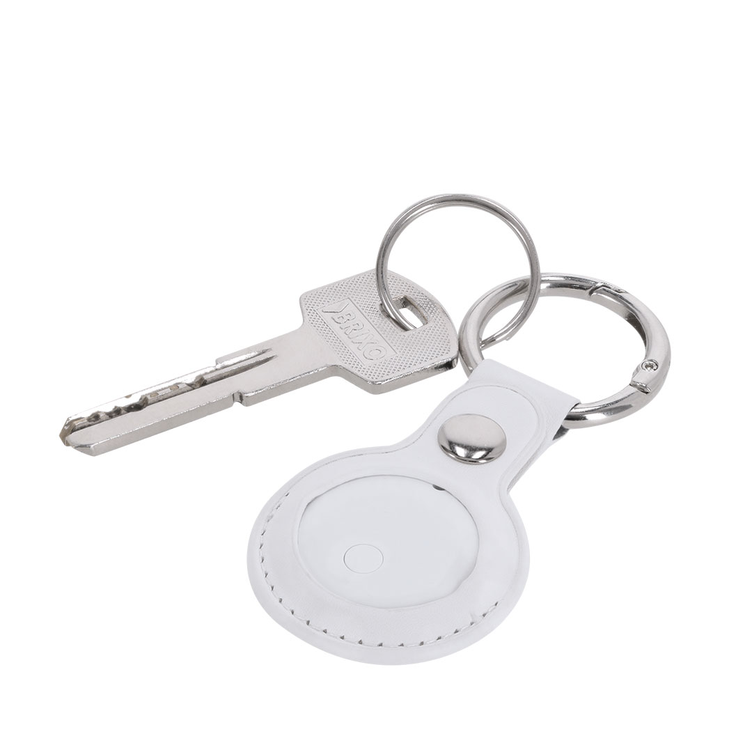 Piepser Brittany – Bild 3