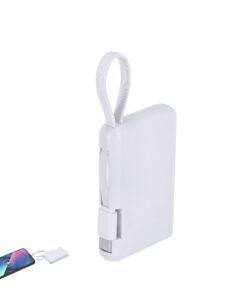Power Bank Brandin