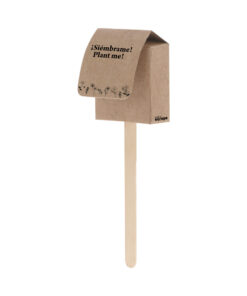 Alternative view of Lutscher-Samen Ebeldy