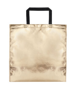 Alternative view of Tasche Poznan