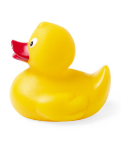 Alternative view of Ente Koldy