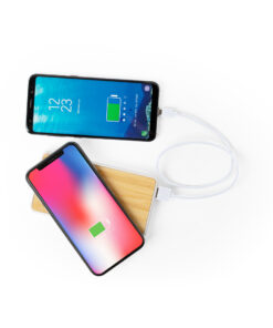 Alternative view of Power Bank Dickens