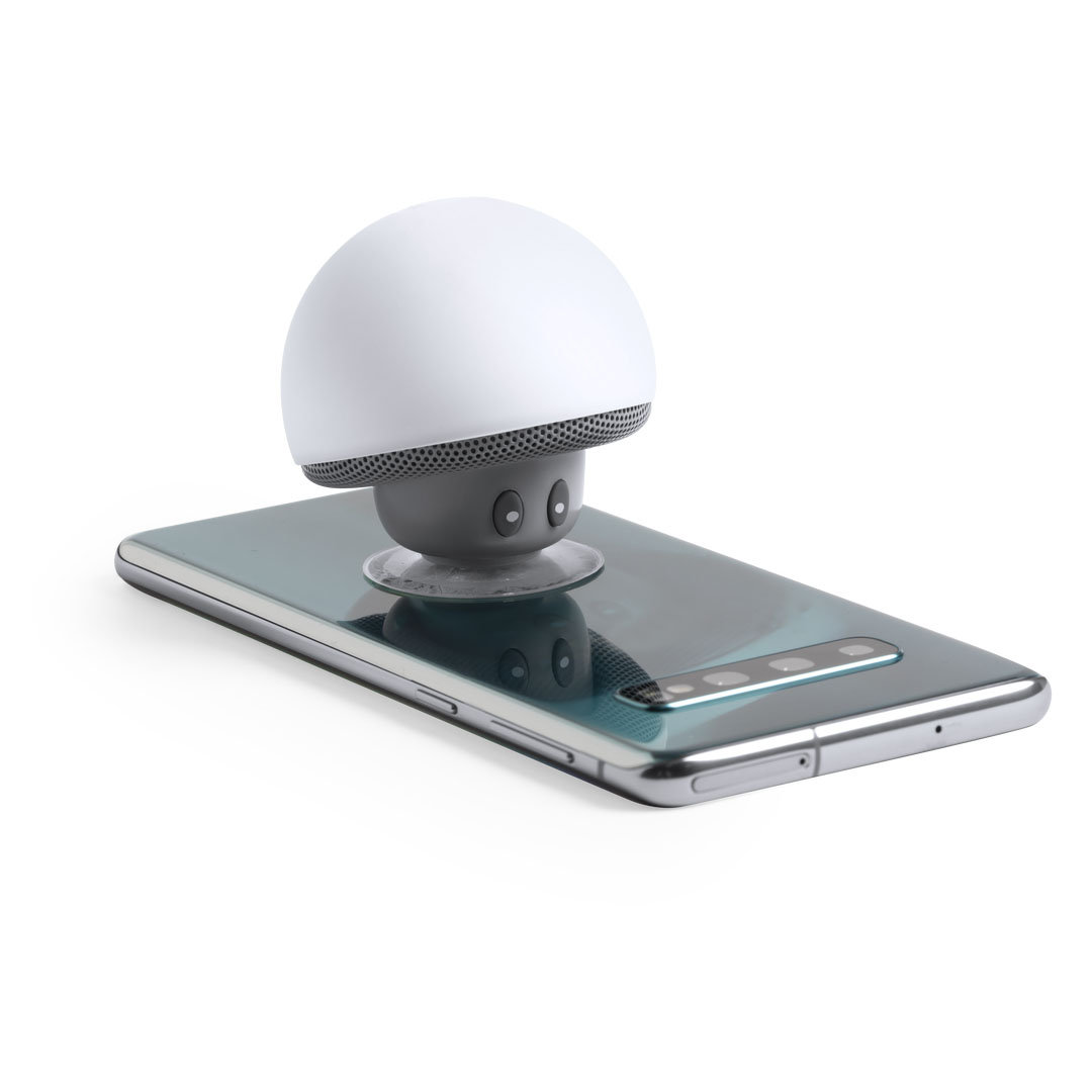 Lautsprecher Wanap – Bild 3