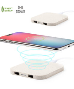 Alternative view of Ladegerät Riens