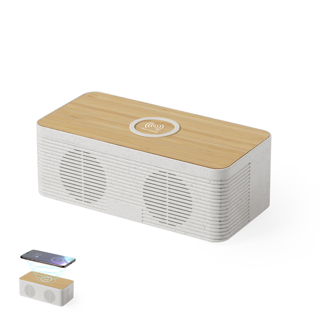 Ladegerät Lautsprecher Trecam