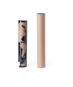 Alternative view of Karte Palsy