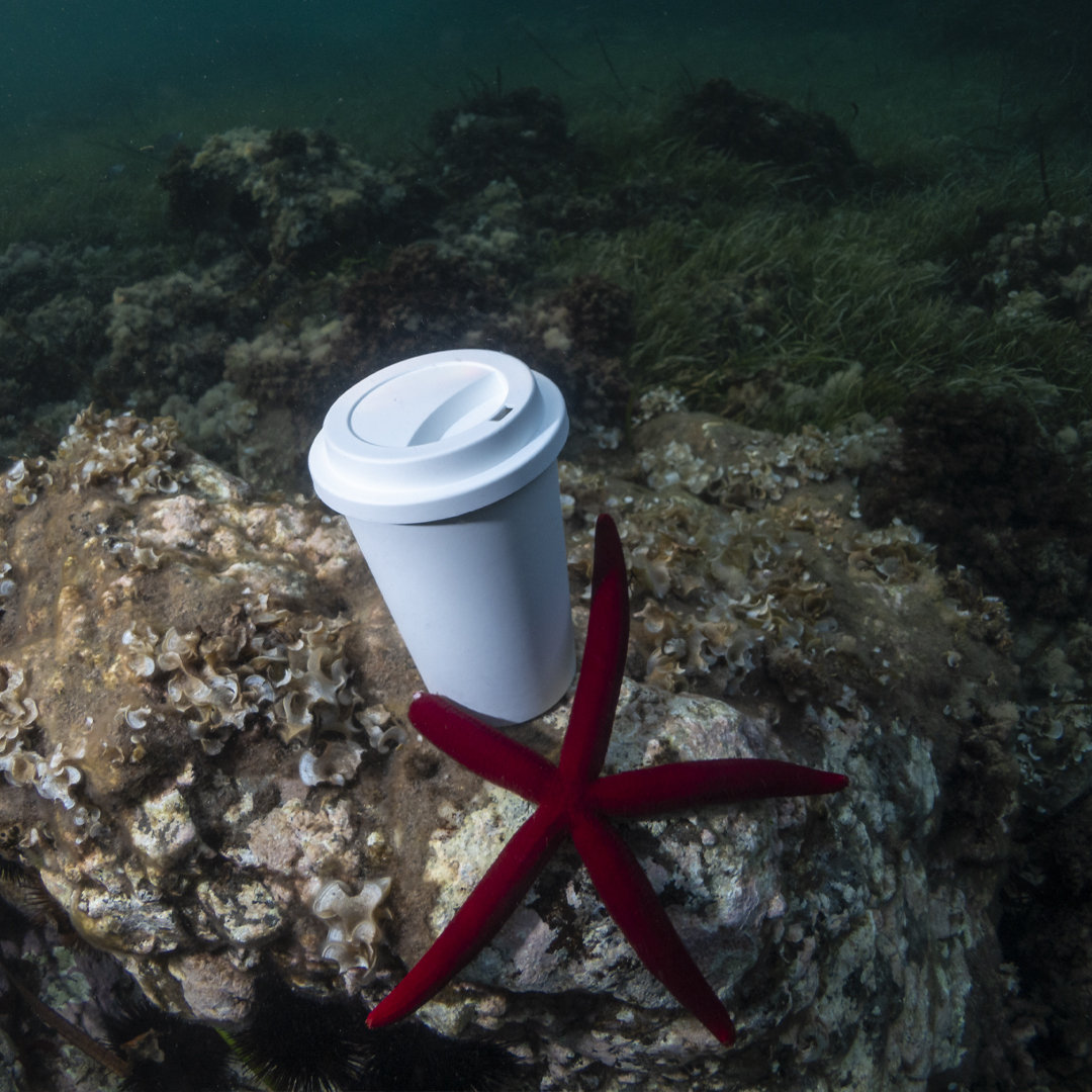 Trinkbecher Petel – Bild 2