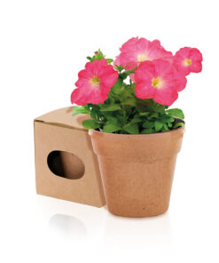 Alternative view of Blumentopf Advert