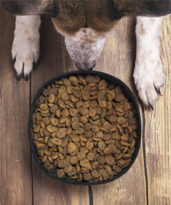 Faltbare Schüssel Poppy 13 1012 D3