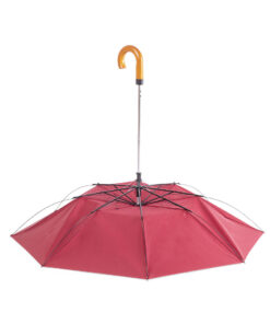 Alternative view of Regenschirm Branit