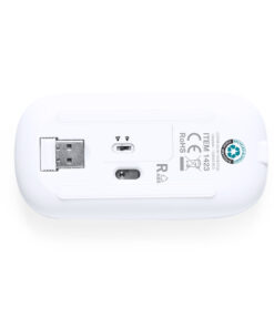 Alternative view of Maus Chestir RCS