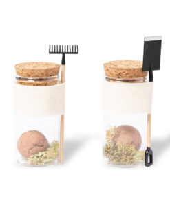 Alternative view of Bonbon-Samen Winsu