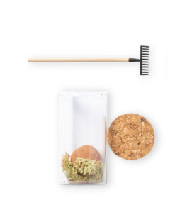 Bonbon-Samen Winsu 11 1932 D4