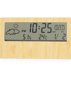 Wetterstation Roamer