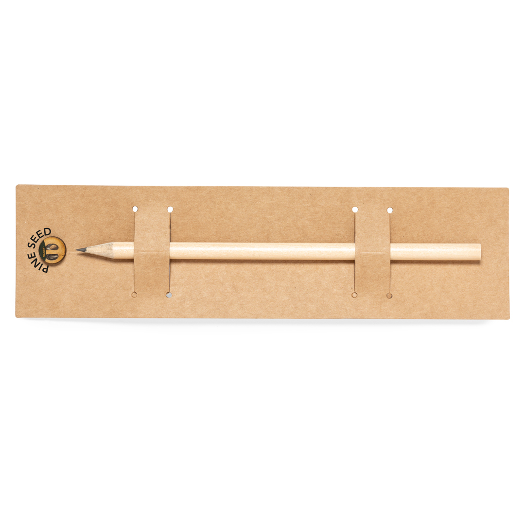 Samen Bleistift Etesio 3 Samen Bleistift Etesio