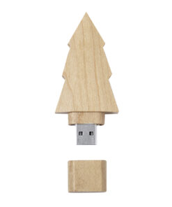 USB Speicher Neskup 16GB