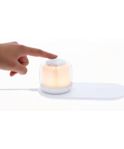 Ladegerät Lampe Reginal 16 21357 D5