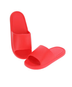 Alternative view of Flip Flop Ridel