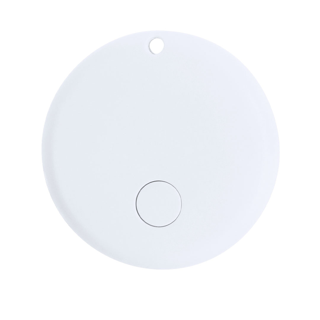 Piepser Brittany 7 Piepser Brittany – Bild 5