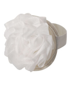 Alternative view of Peeling-Schwamm Worin