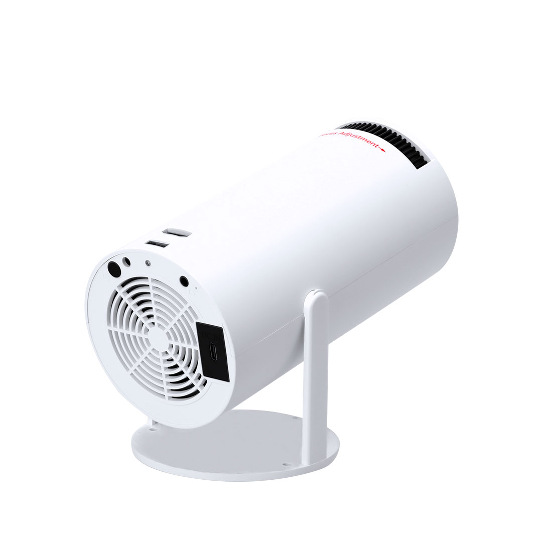 Projektor Taloxen 4 Projektor Taloxen – Bild 2