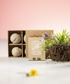 Samenkapsel Biyok 10 2642 D3