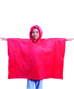 Alternative view of Poncho Teo