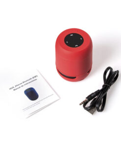 Alternative view of Lautsprecher Braiss