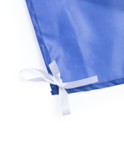 Alternative view of Fahne Dambor