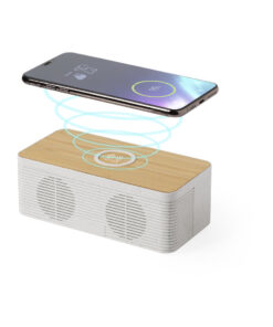 Ladegerät Lautsprecher Trecam